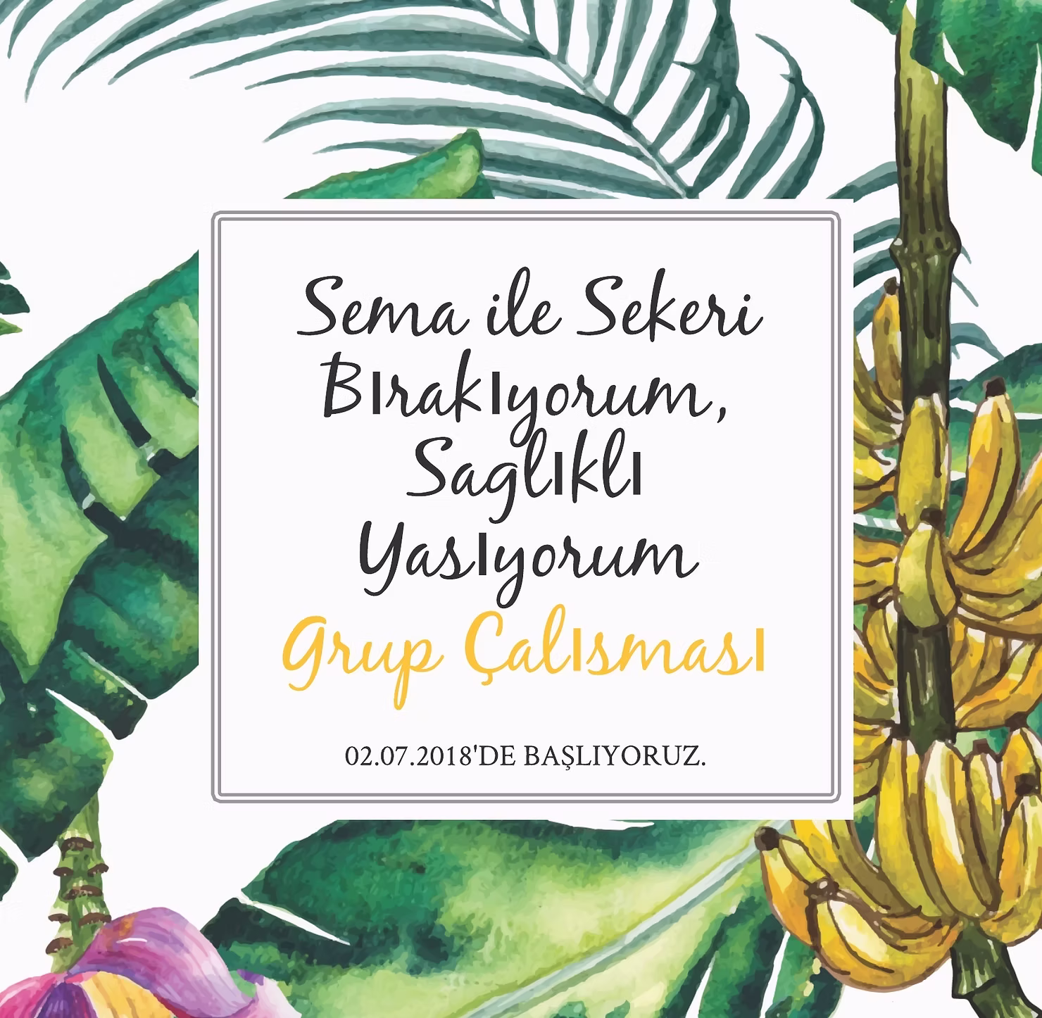 Sema ile Şekeri Bırakıyorum, Sağlıklı Yaşıyorum Grubu 2