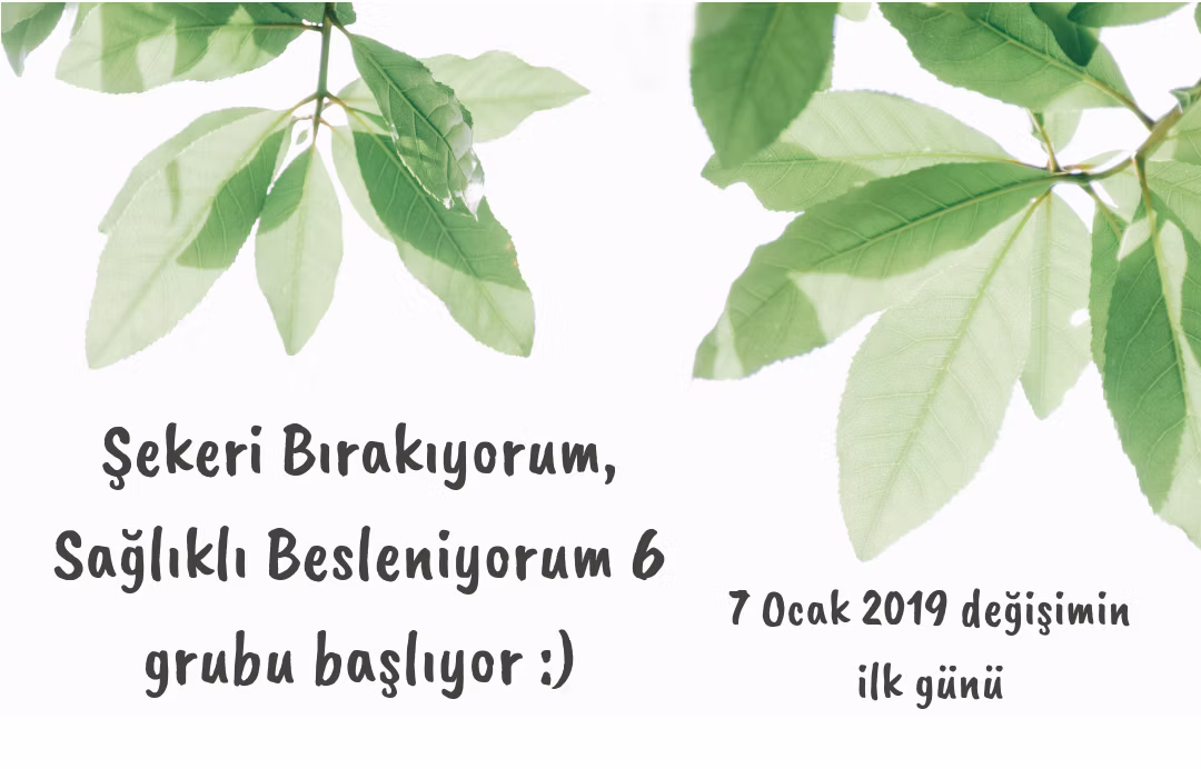 Şekeri Bırakıyorum, Sağlıklı Besleniyorum