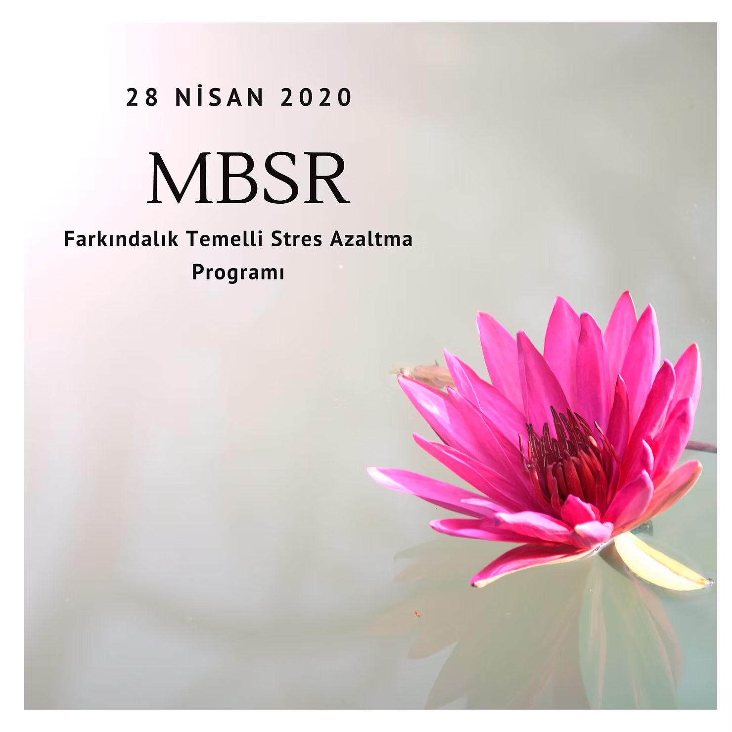 2. MBSR Grubumu Açıyorum, Online!