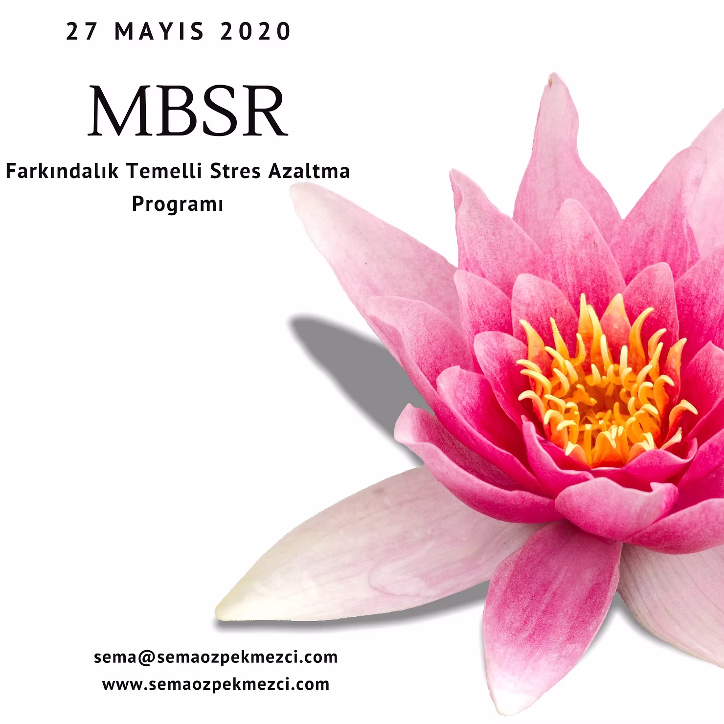 Mayıs 2020 MBSR Online Programı