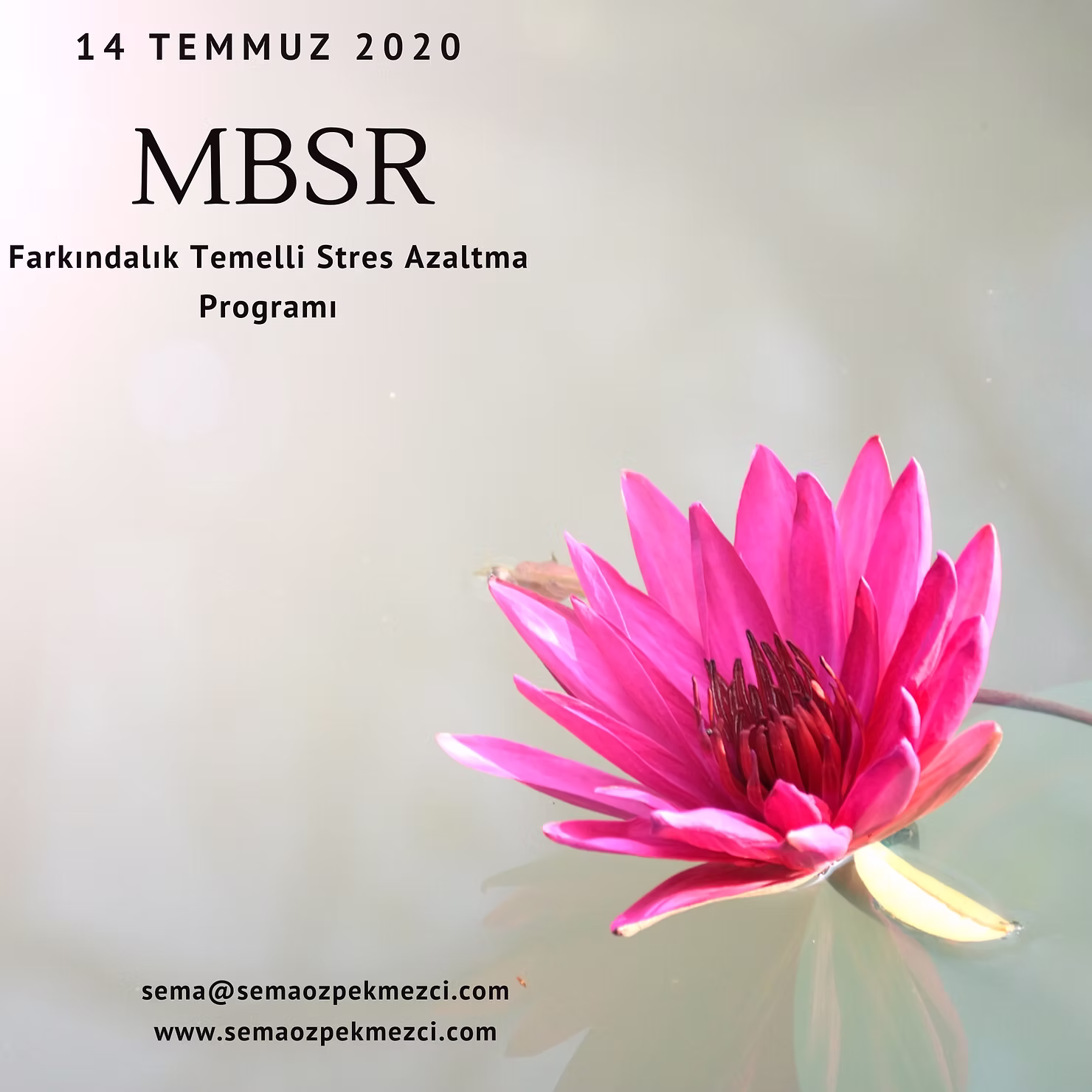 MBSR Temmuz 2020 Online Kurs Başlıyor