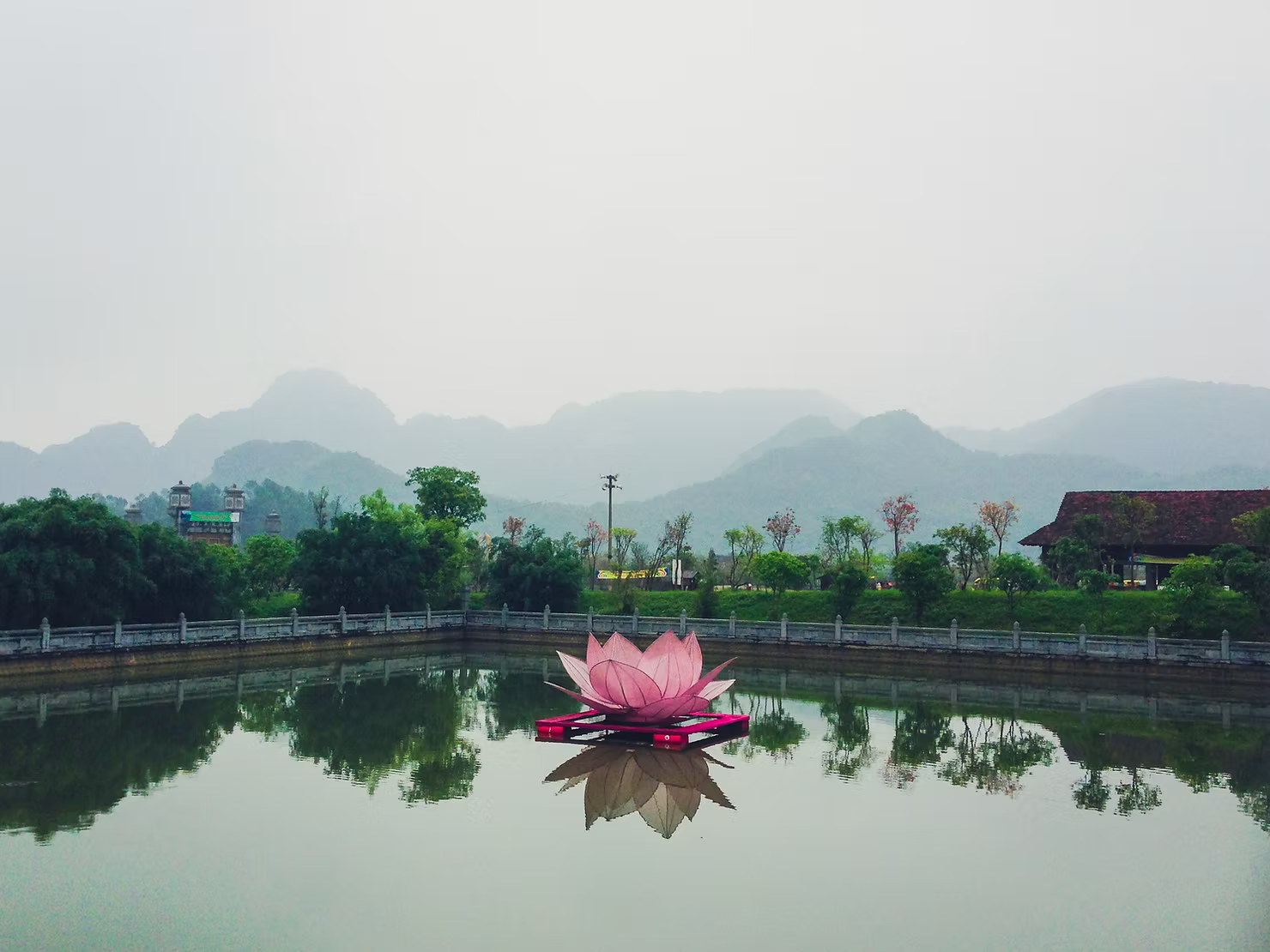 Mindfulness Mentörlüğü Birebir Çalışma