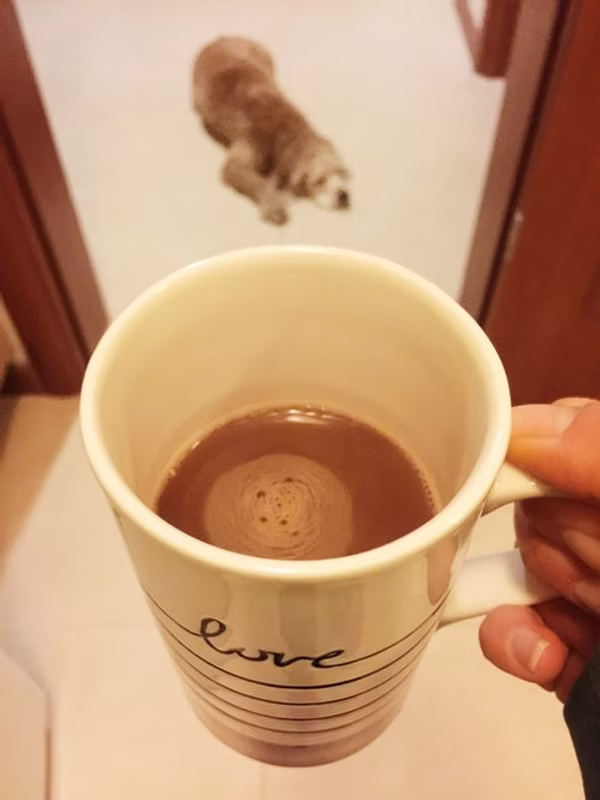 badem sütüyle yapılmış bir kahve. Arkada dino gözüküyor