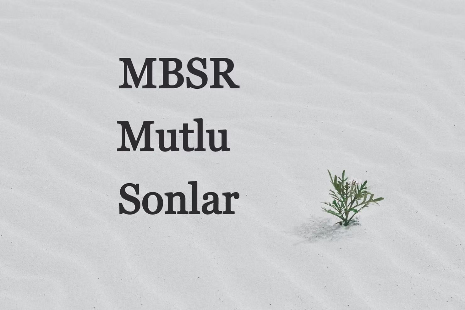 MBSR Mutlu Sonlar!
