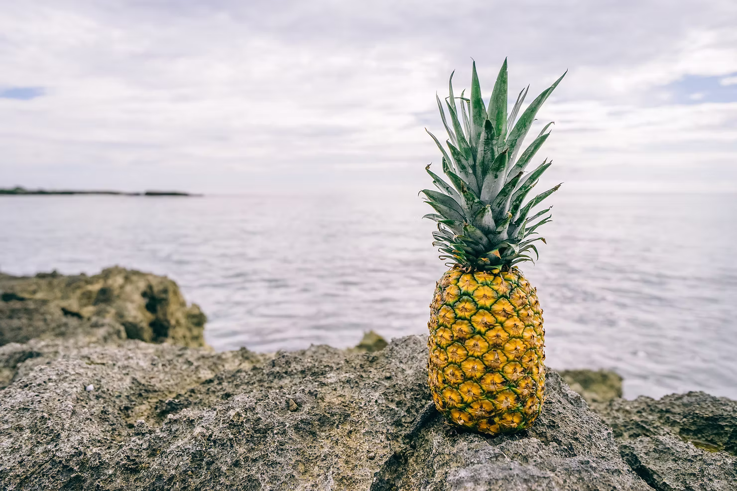 Detaylarda boğulmadan sağlıklı beslenme ananas, deniz kenarı