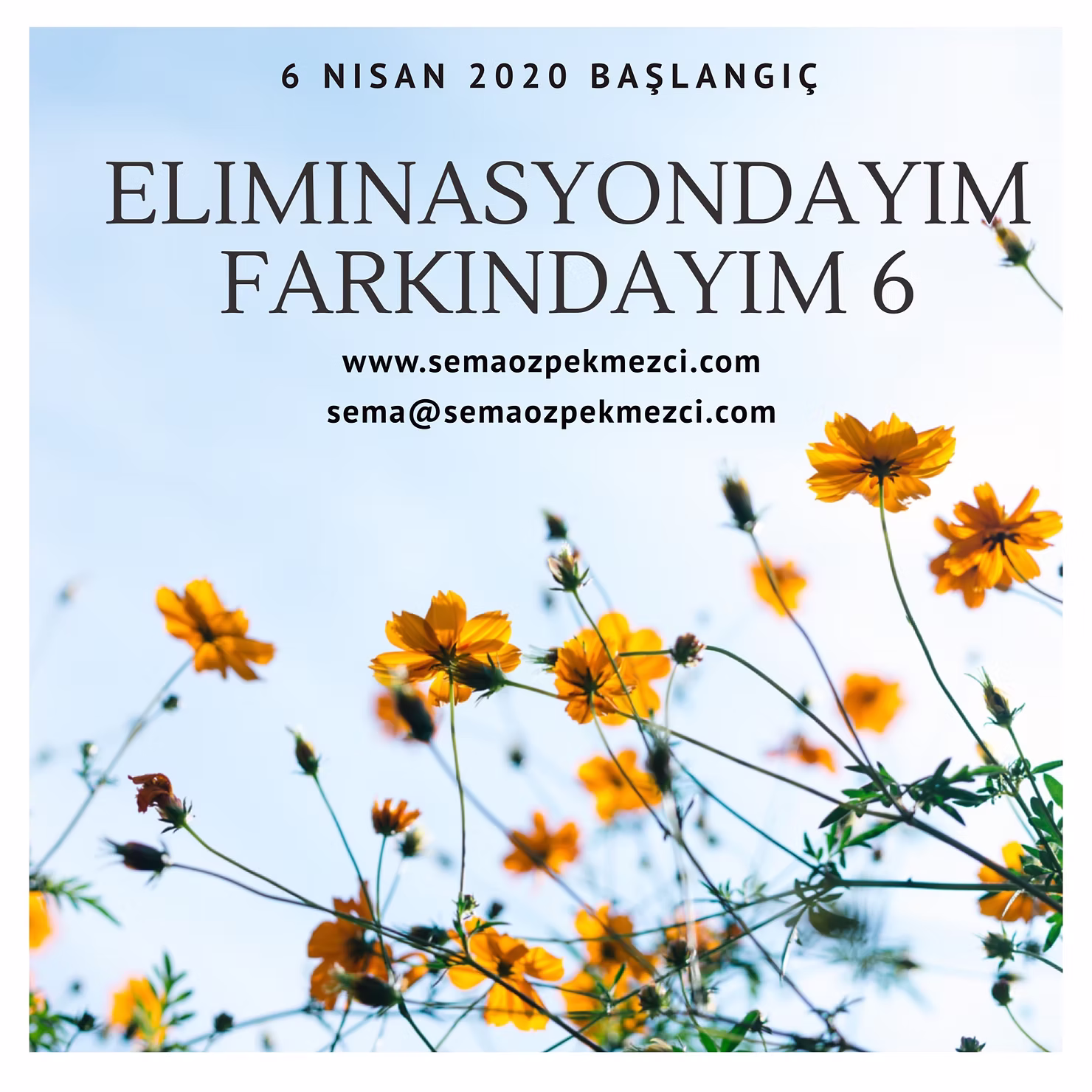 Afiş, eliminasyon