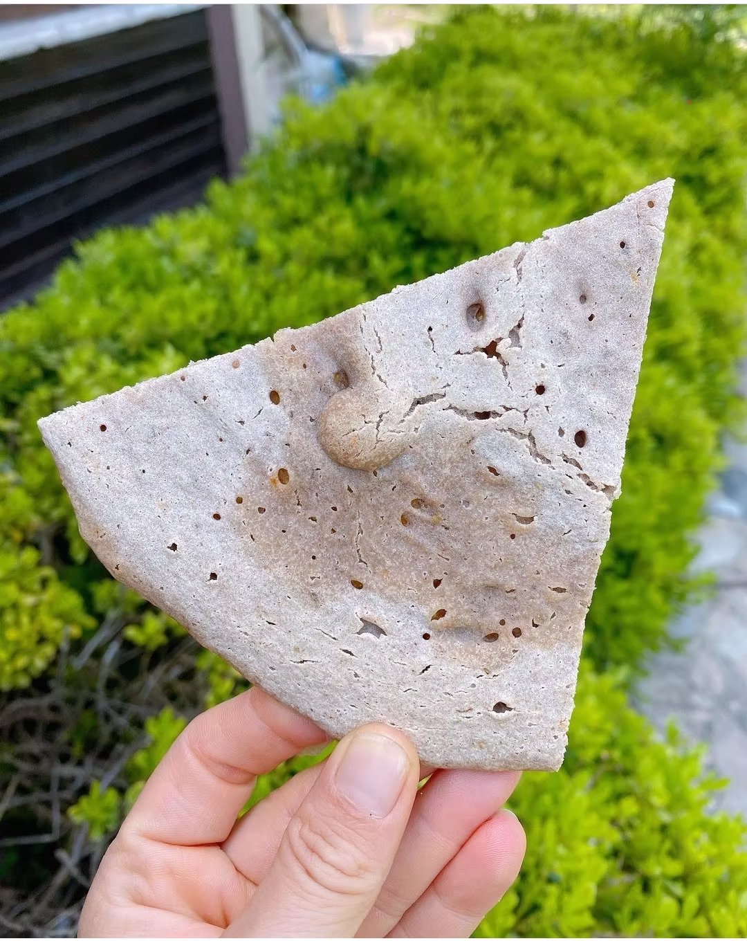 sodalı karabuğday ekmeği bir dilim sodalı karabuğday ekmeği
