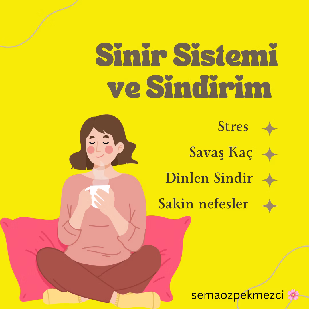 Sinir Sistemimiz ve Sindirim
